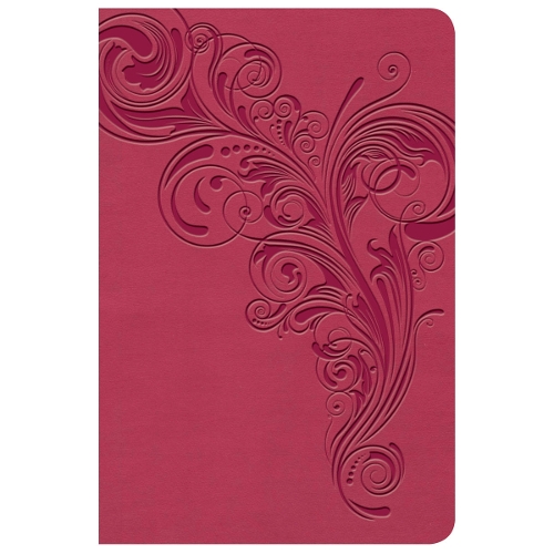 KJV Large Print Compact Reference Bible, Pink LeatherTouch